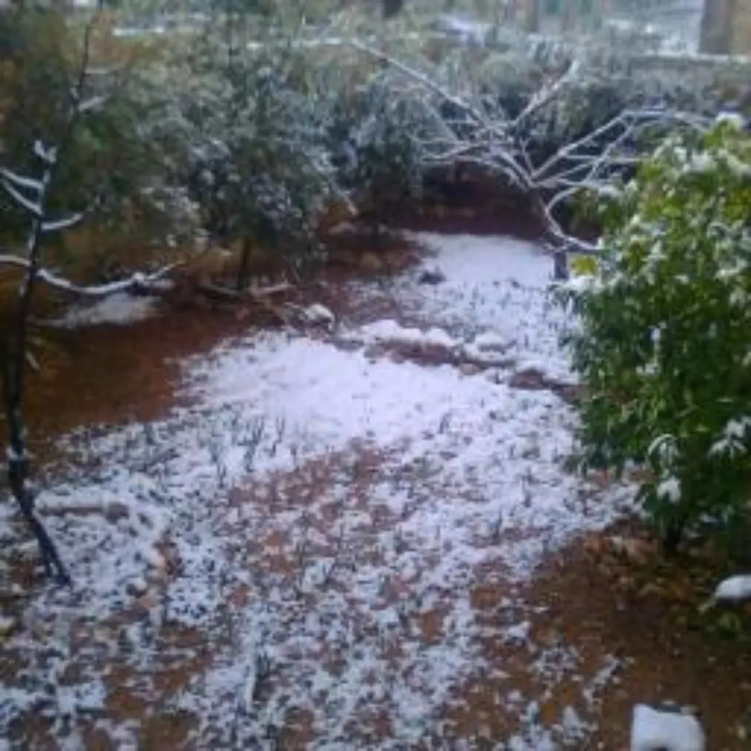 منزل البيع..تواصل على رقم .. موقع مميز..على ثلاثة شوارع… جميع الخدمات متوفره.. قابل للتفاوض