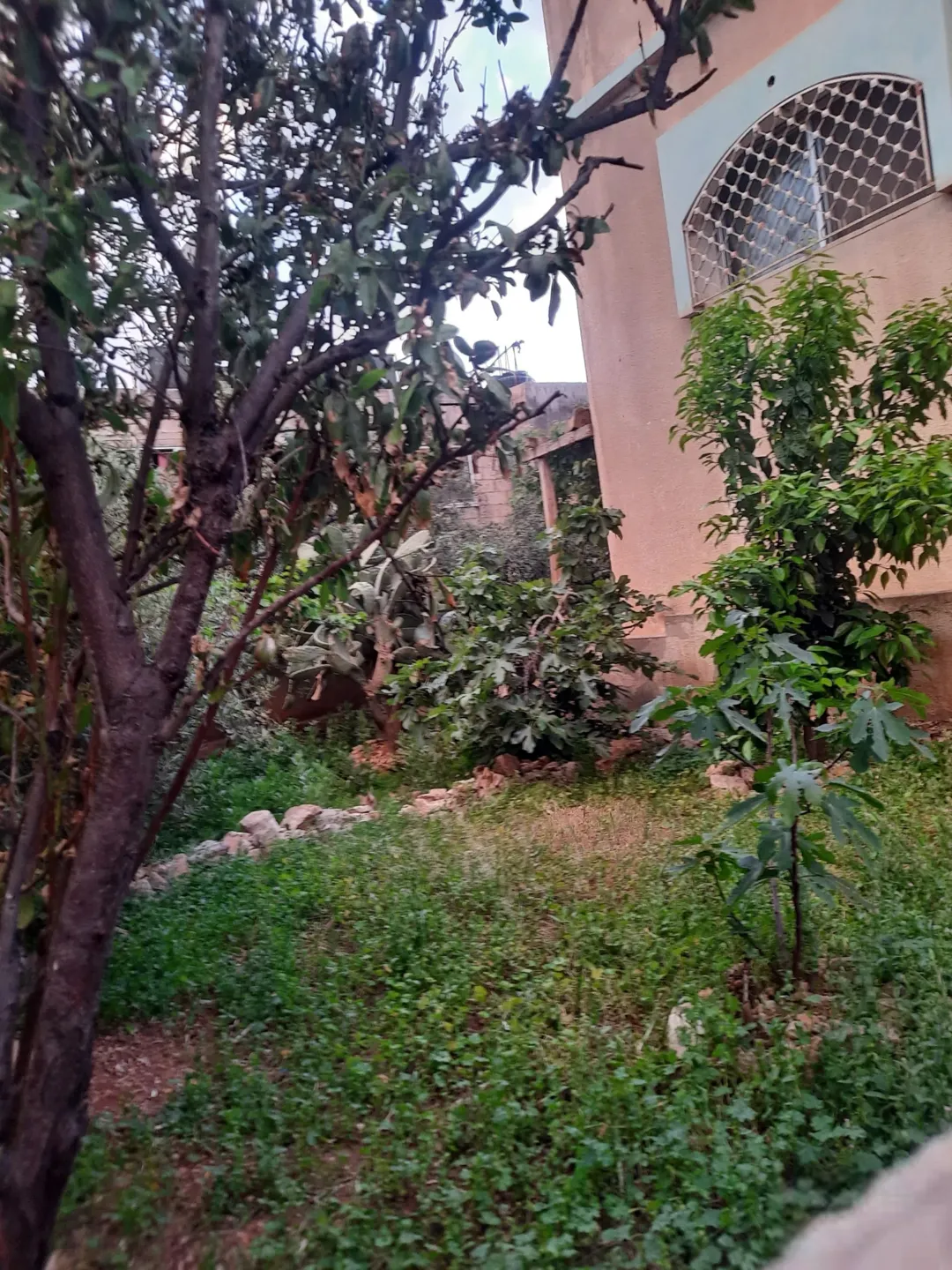 منزل البيع..تواصل على رقم .. موقع مميز..على ثلاثة شوارع… جميع الخدمات متوفره.. قابل للتفاوض