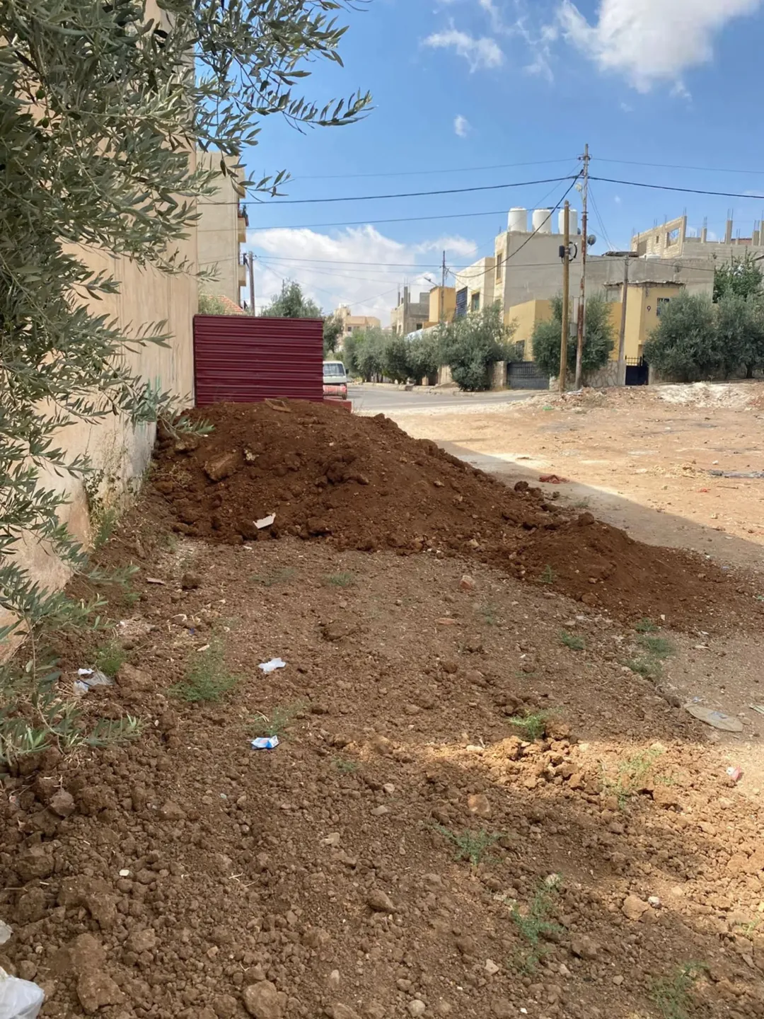 ارض للبيع (عين الباشا – حي الفروسية)