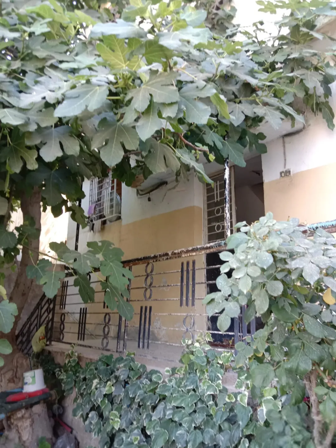 عمارة سكنية للبيع في اليرموك – عمان
