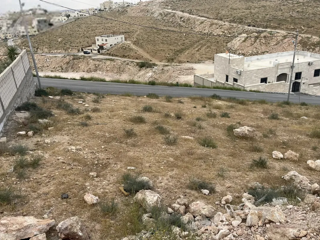 ارض للبيع الزرقاء ضاحية المدينة المنورة