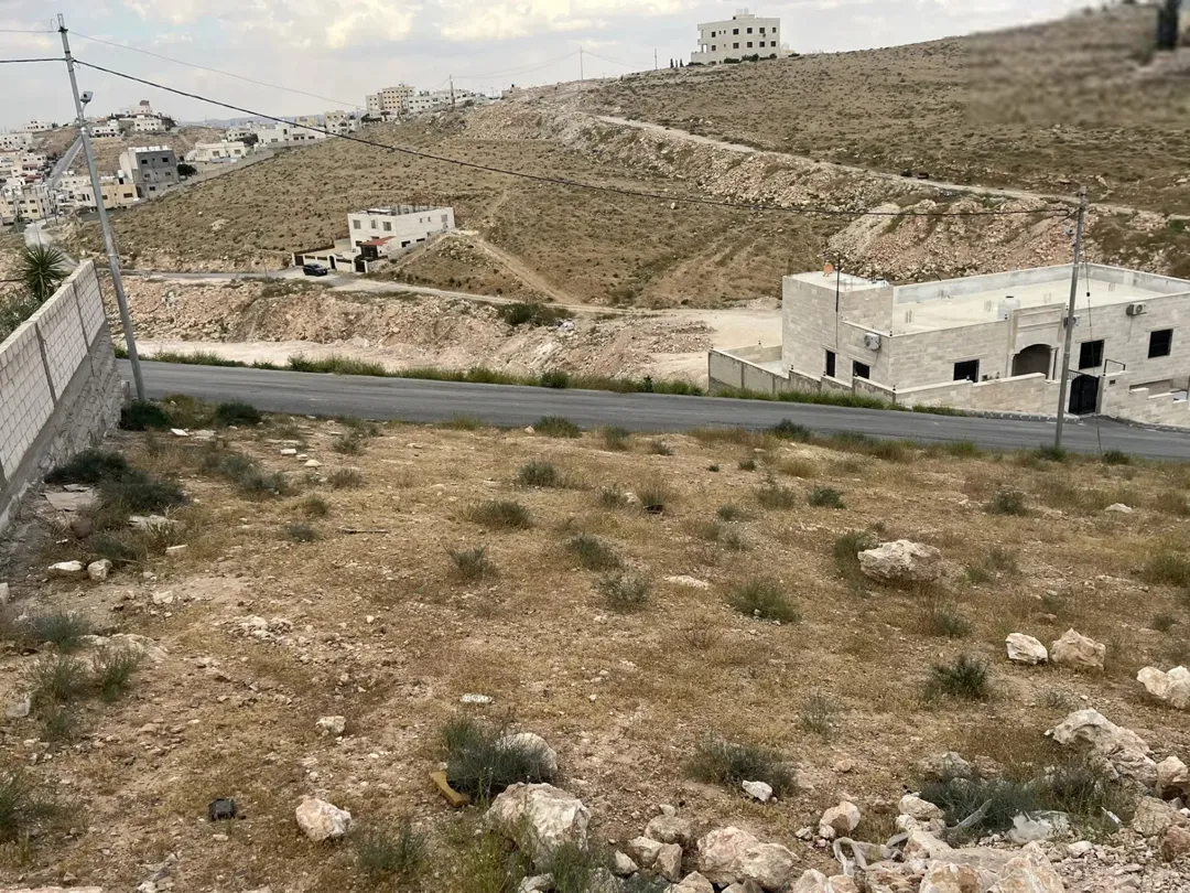 ارض للبيع الزرقاء ضاحية المدينة المنورة