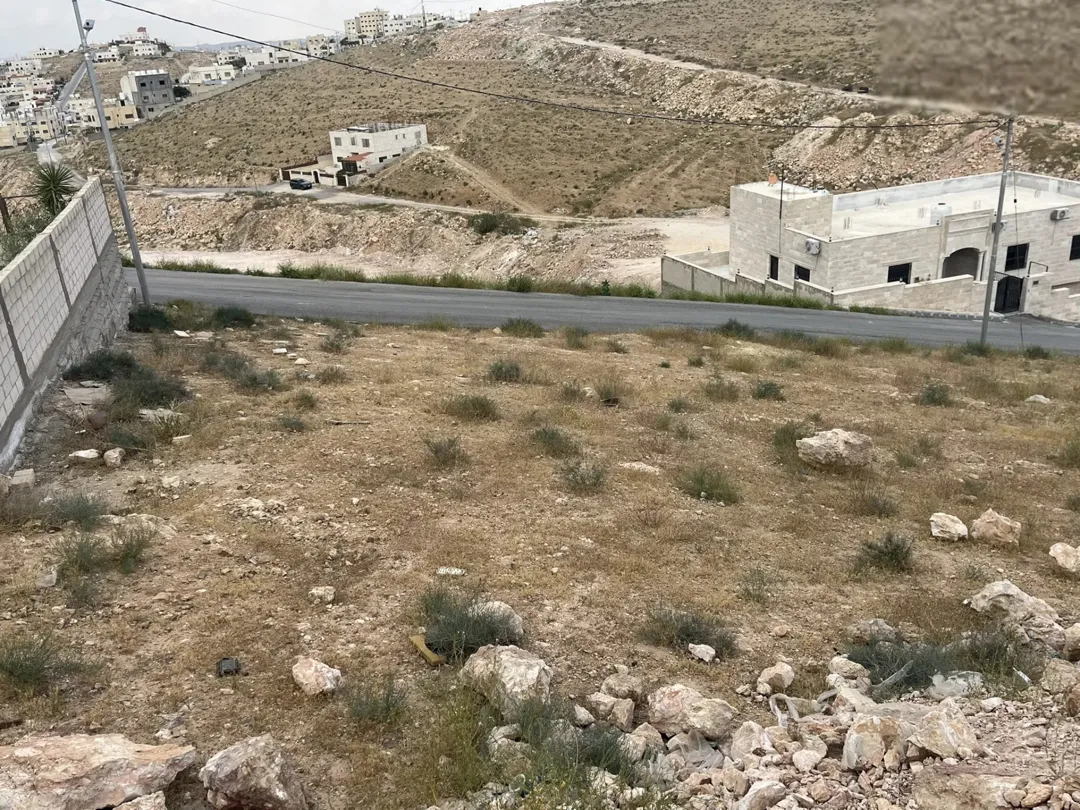 ارض للبيع الزرقاء ضاحية المدينة المنورة