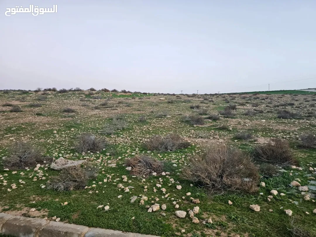 أرض للبيع في القسطل – عرقوب النعام