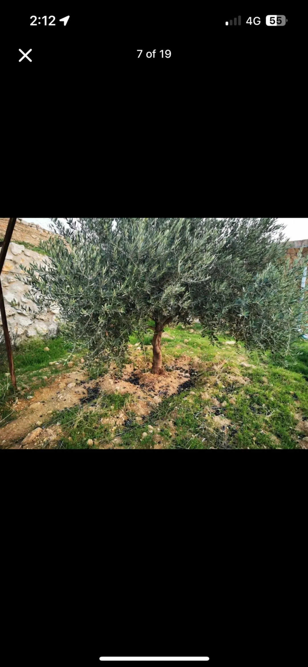 مزرعة للبيع أو البدل في السلط – كفر هودا