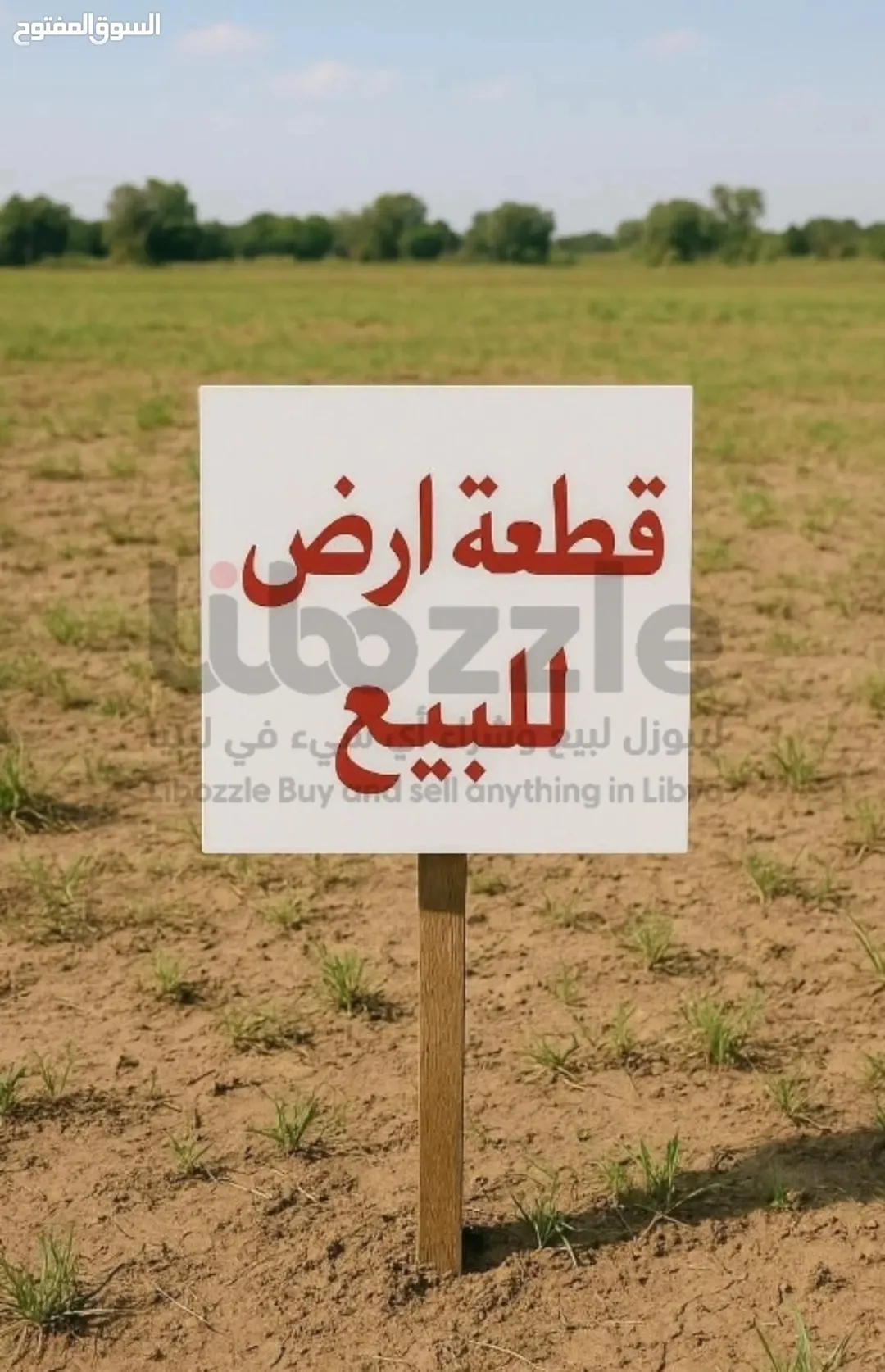 أرض للبيع في ناعور بإطلالة ساحرة على جبال القدس