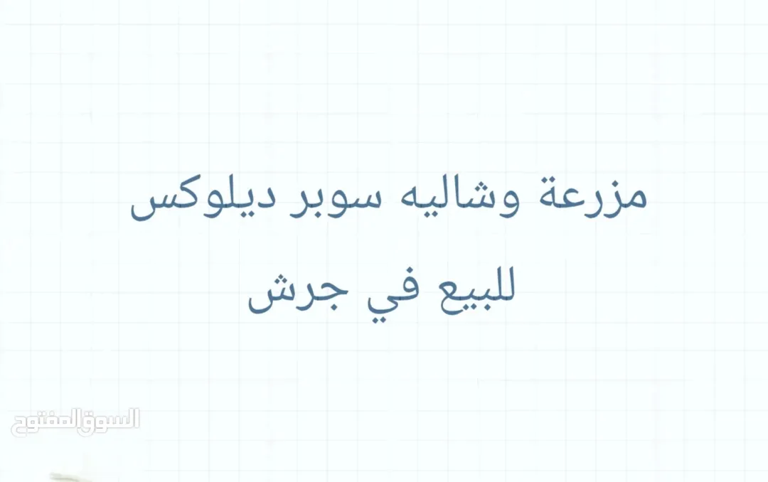 مزرعة فاخرة للبيع في جرش – منطقة المجر
