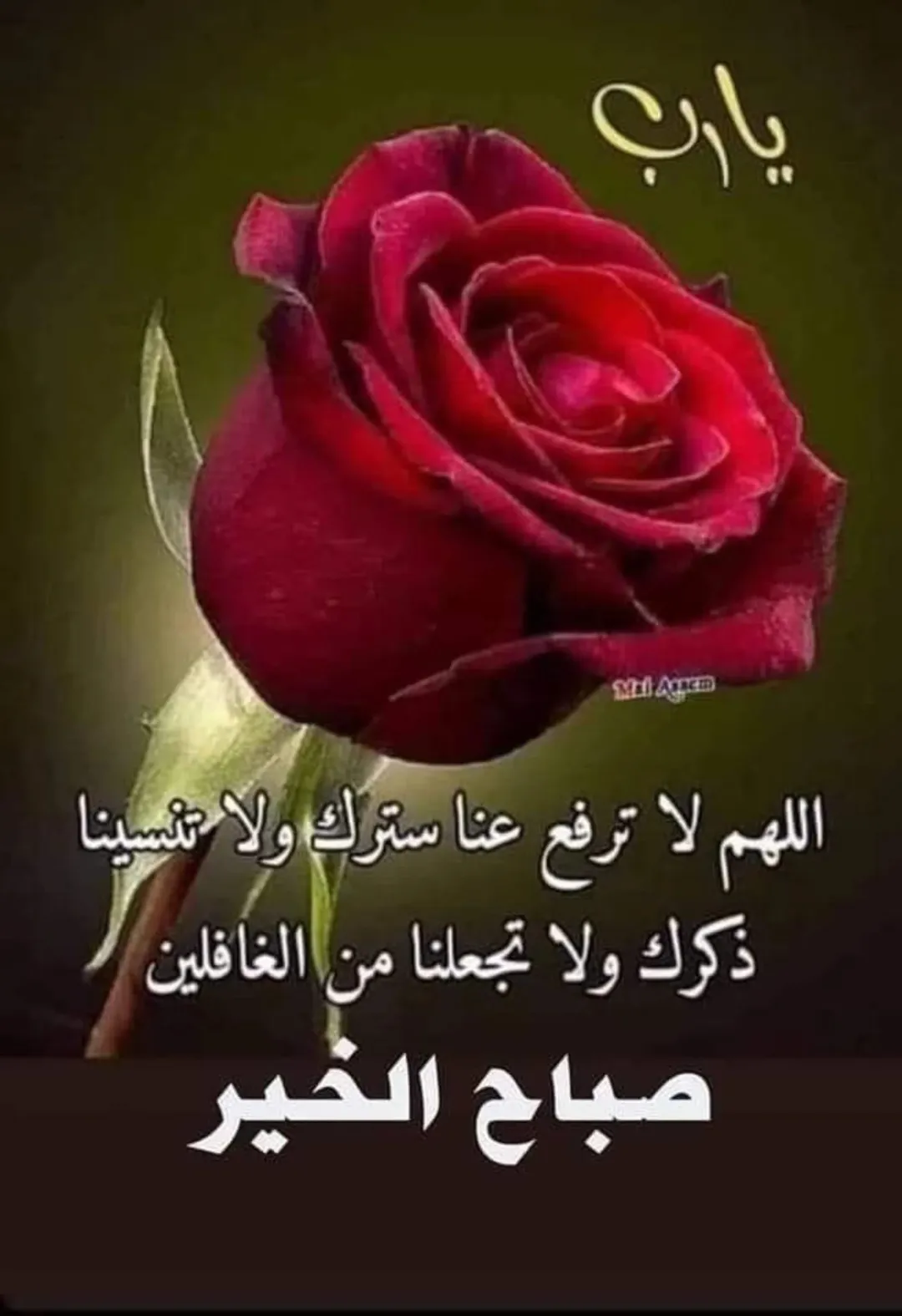 منزل مستقل مميز للبيع في ماركا الجنوبية – منطقة نادي السباق