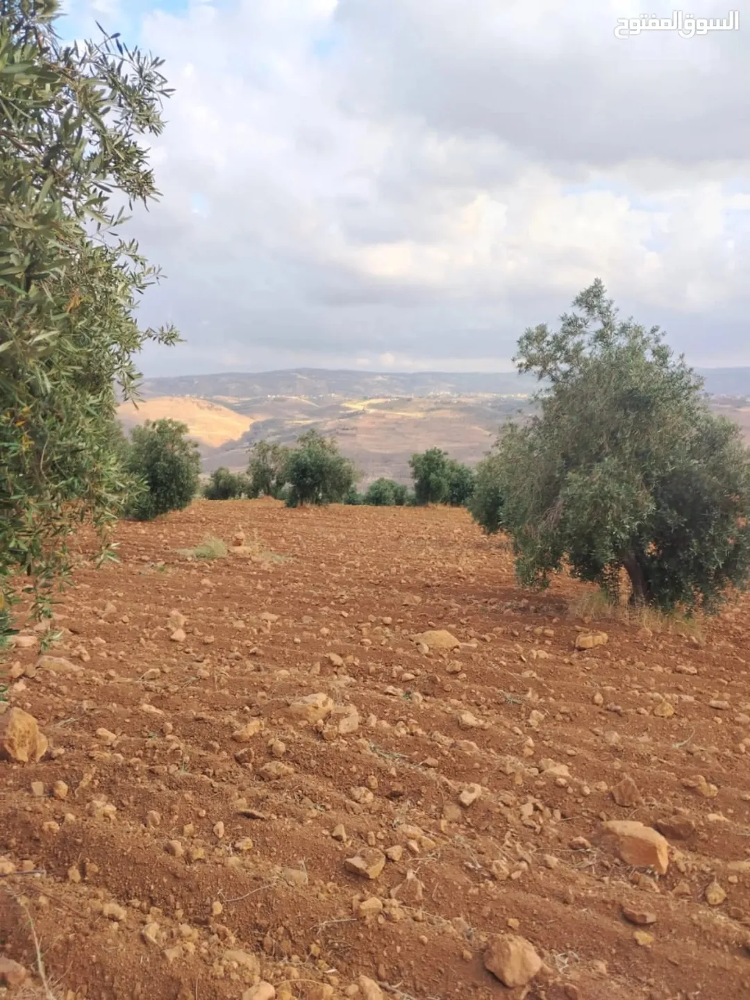 أرض مميزة بإطلالة ساحرة نحو السلط