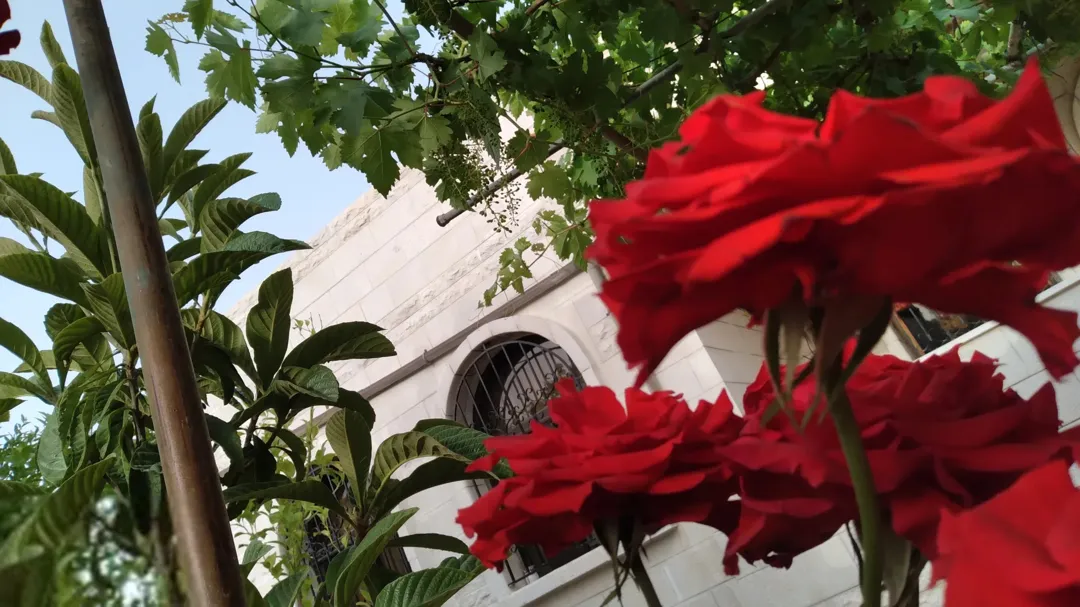 منزل مستقل للبيع في منطقه فلل عمان