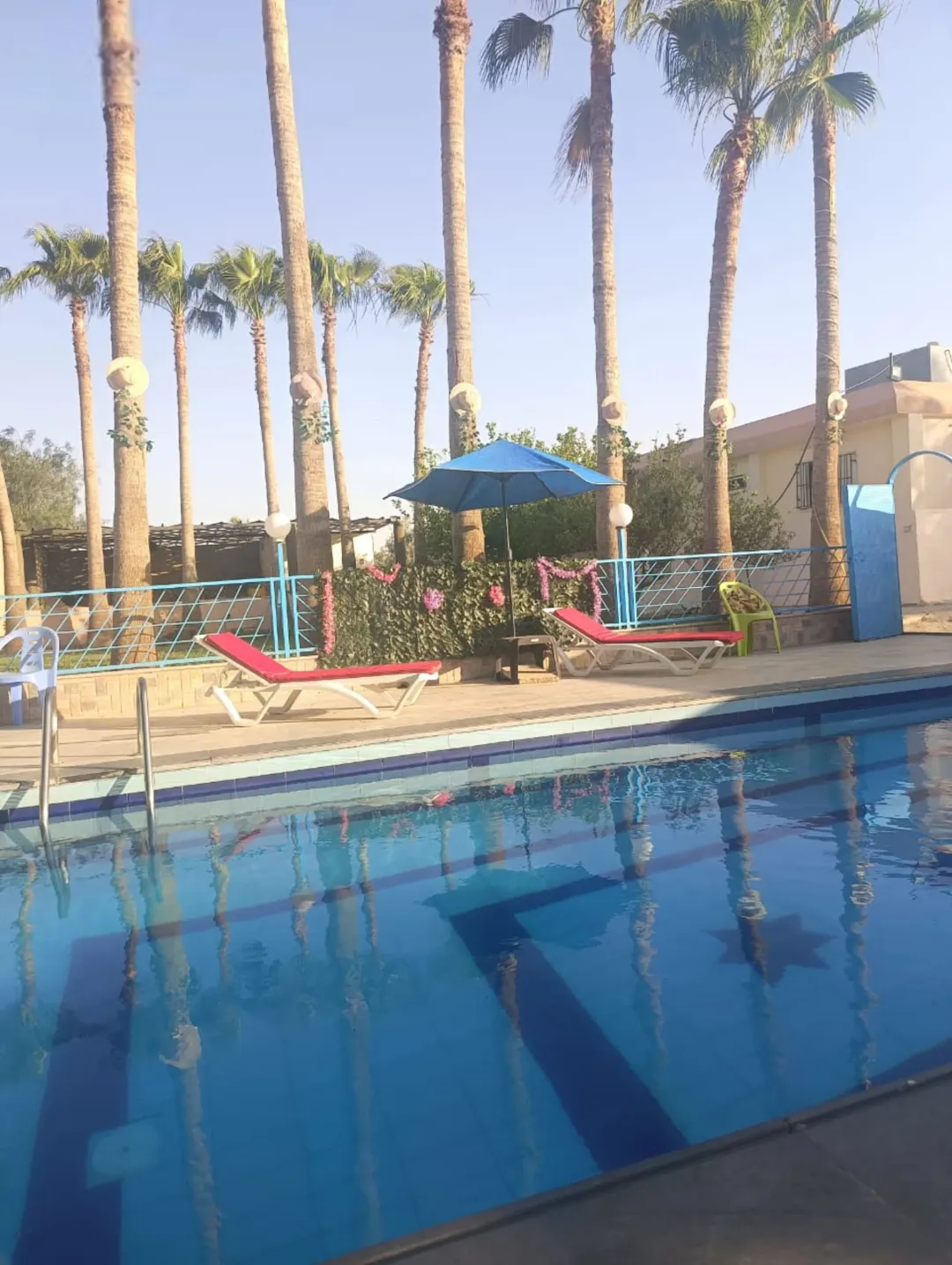 مزرعة فاخرة للبيع في أرينبة الشرقية – عمان