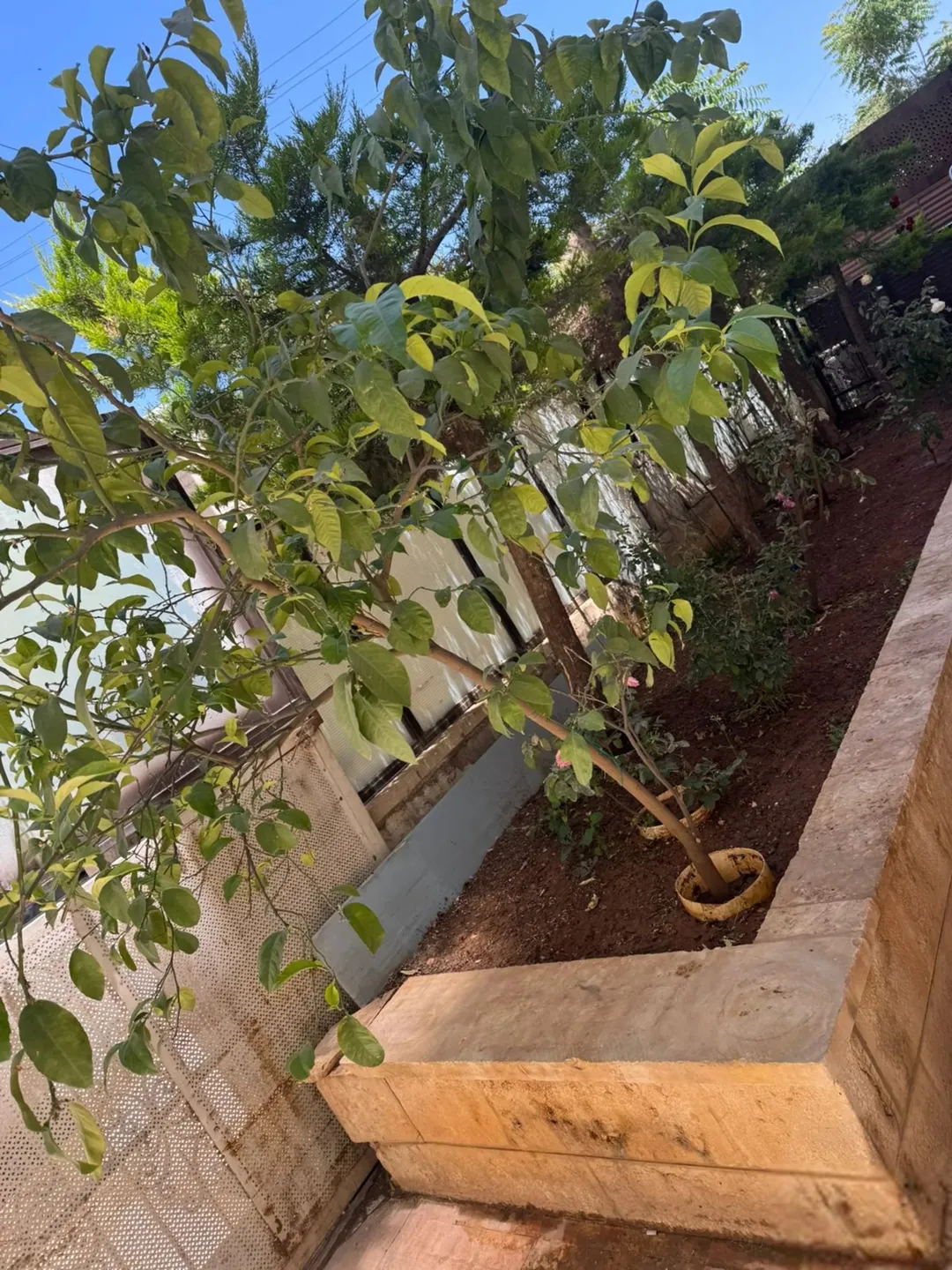 شقة للبيع في جبل الحسين — صورة 5