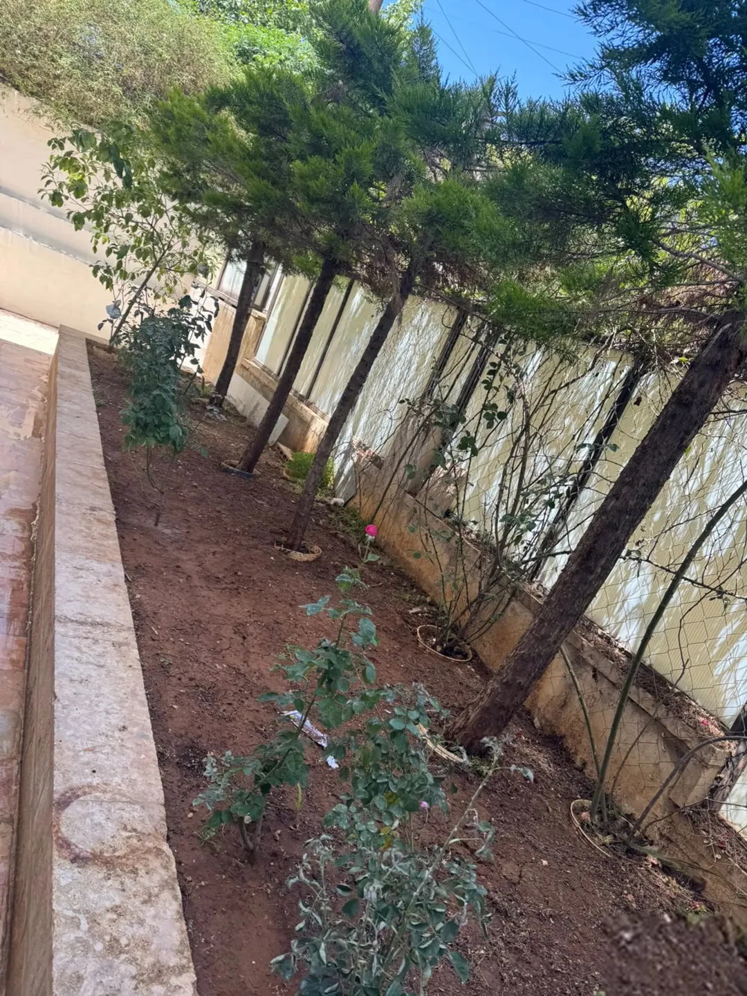 شقة للبيع في جبل الحسين — صورة 4