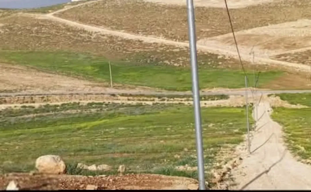 أراضٍ للبيع في جريبا ورجم الشوك