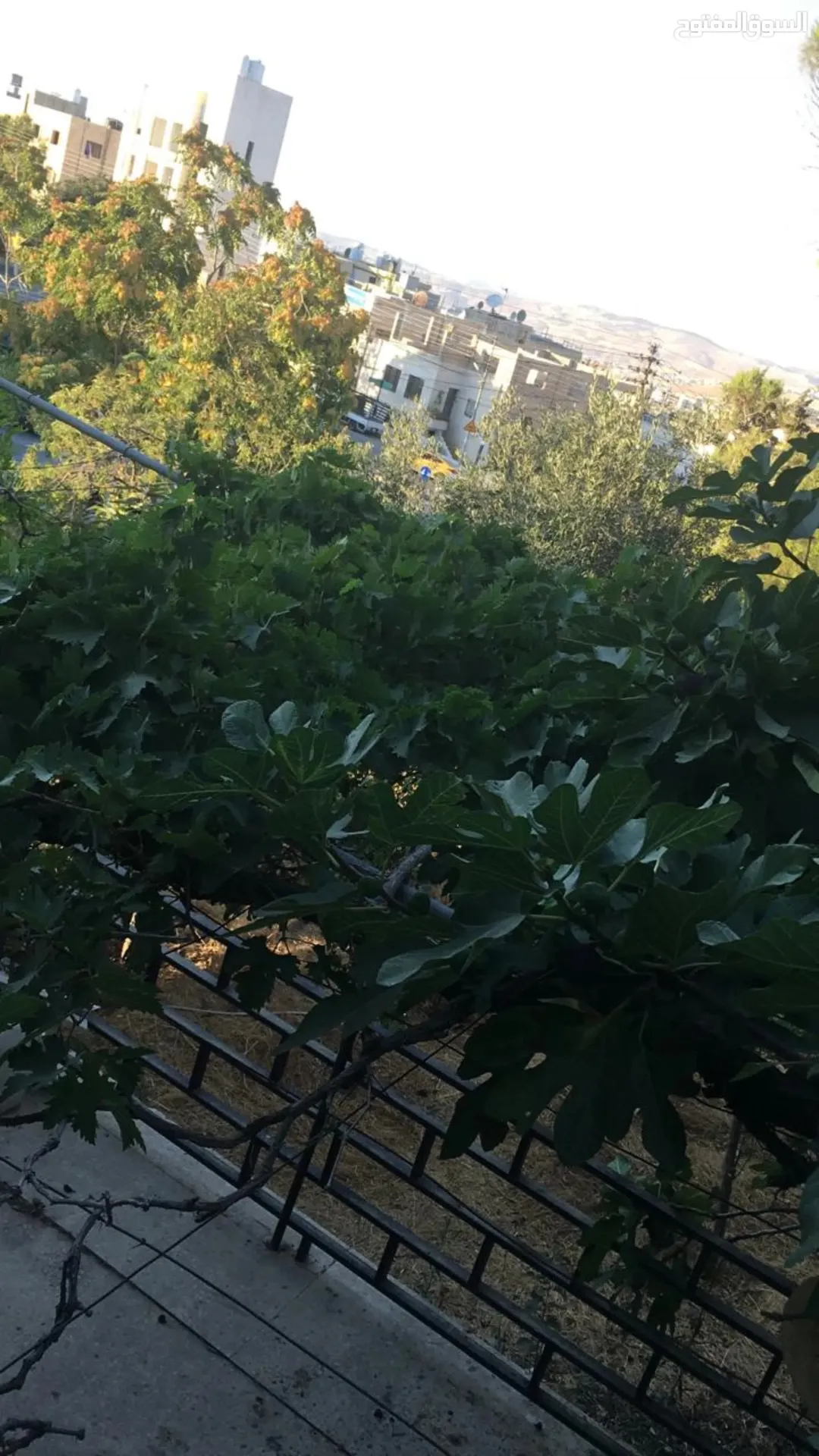 منزل مستقل ساحر في صويلح حي الرسالة فرصة لا تُفوّت