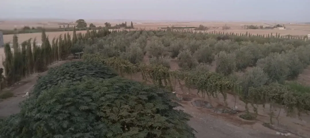 أرض سكنية في الحمام الغربي بمساحة 750 متر مربع