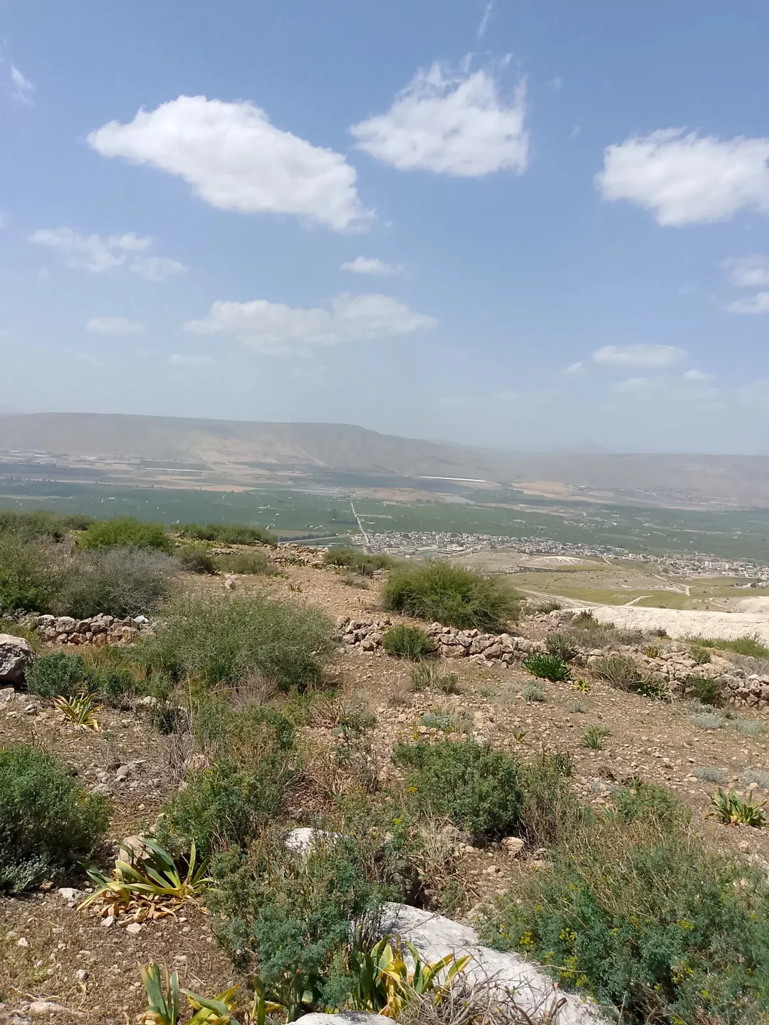 قطعة أرض زراعية مميزة للبيع في مخربا – إربد