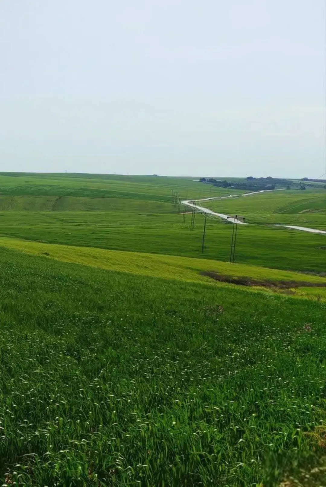 أرض مميزة للبيع في أجمل مناطق ذيبان