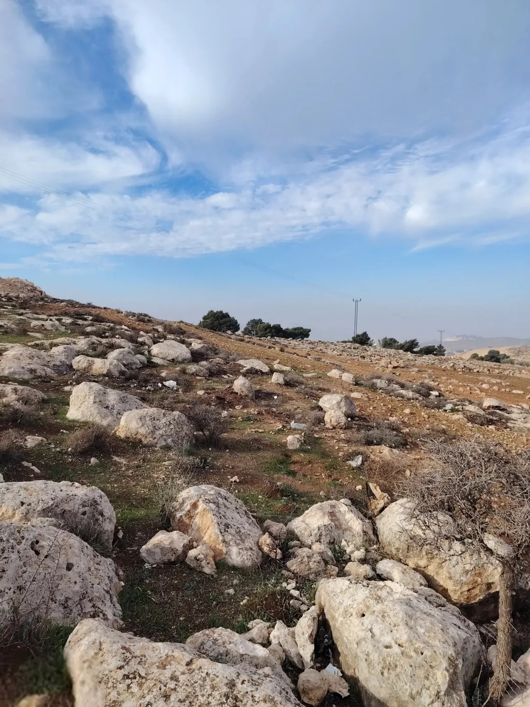 من شارع الاردن 800 م تبعد القطعه قطعه مرتفعه و كاشفة جميع الخدمات
