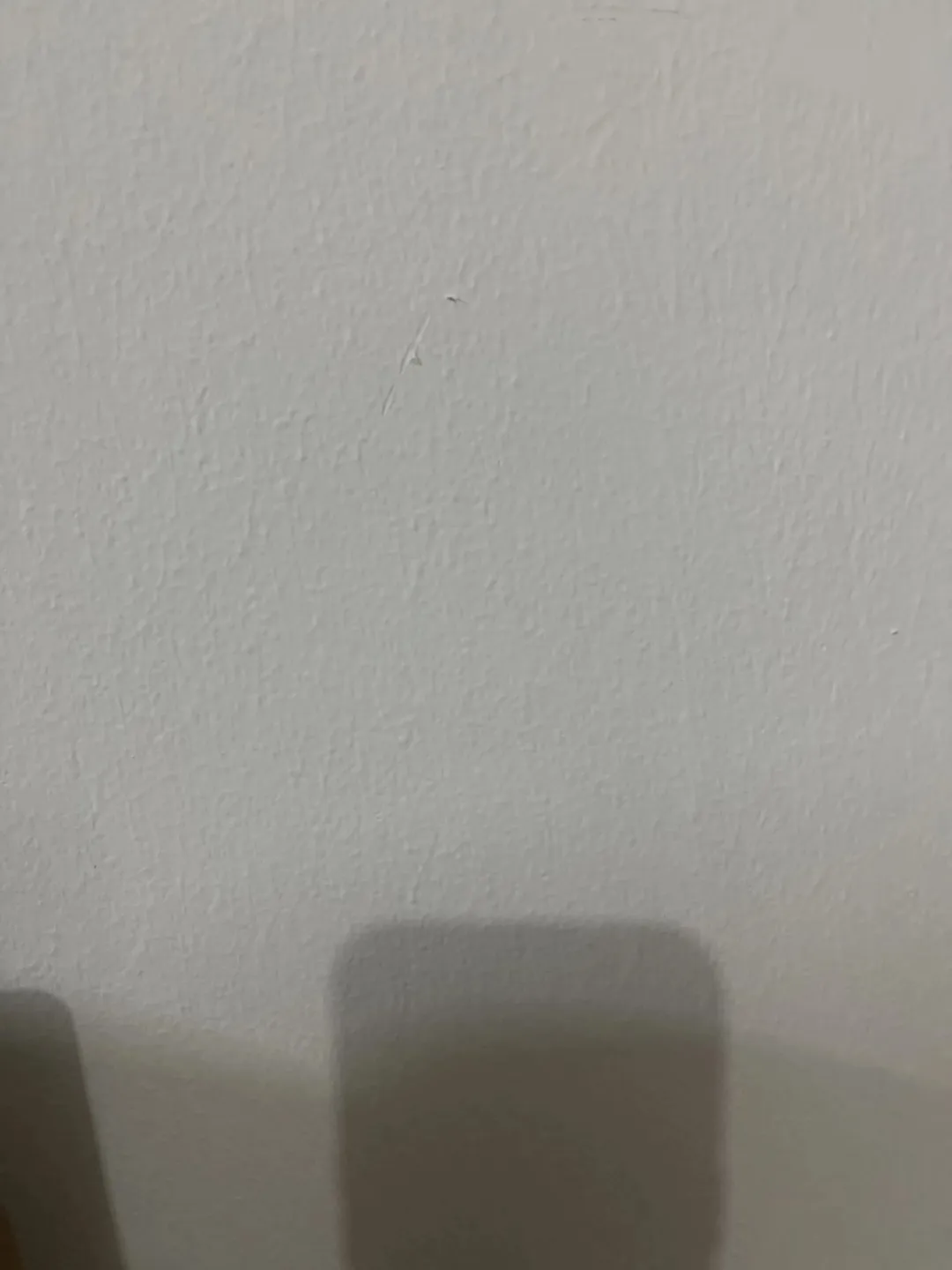 شقة للبيع