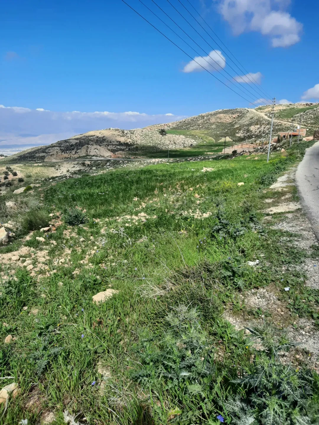 أرض زراعية مميزة في السلط – أم خروبة
