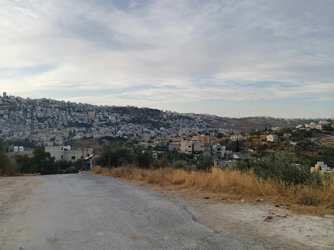 720 متر قوشان مستقل تبعد عن دابوق 4 كيلو بدر الجديده الرباحيه الجنوبيه مباشره — صورة 4