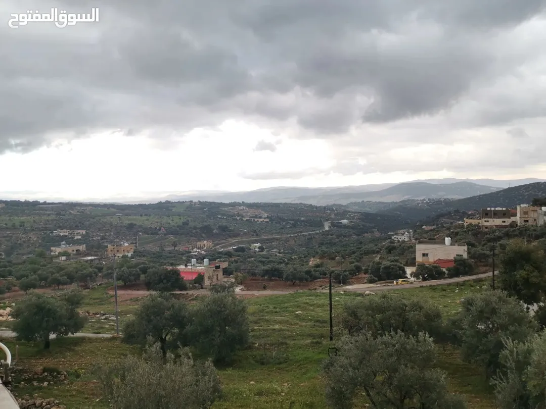 أرض زراعية مميزة للبيع في السلط مع بيت وإطلالة بانورامية