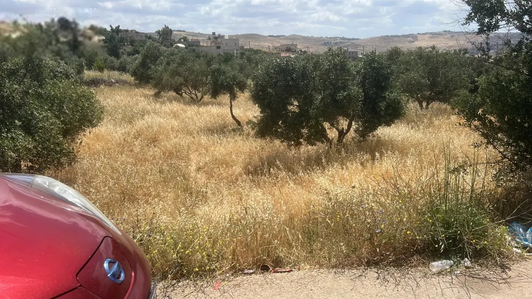 أرض سكنية مميزة في حبكا