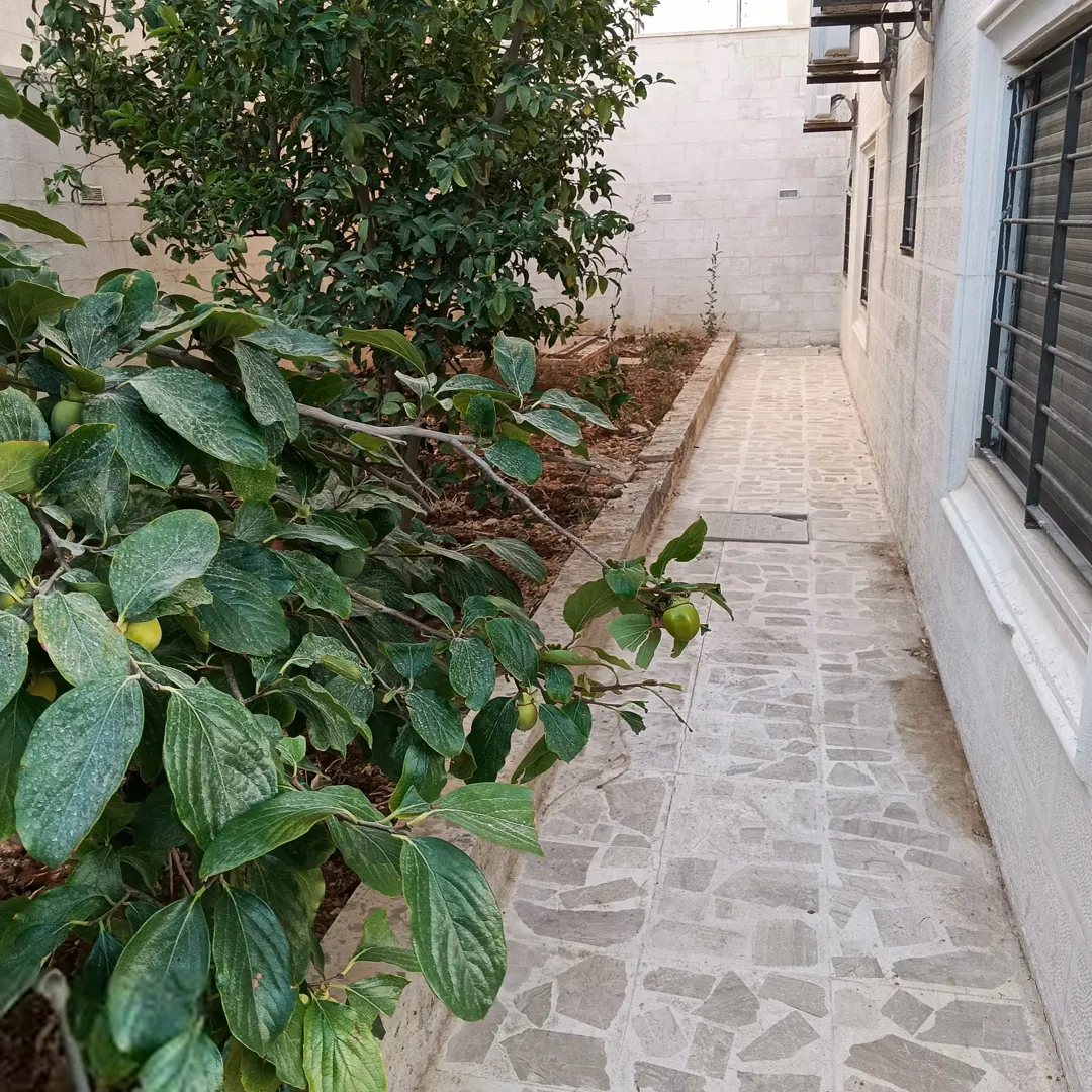 شقه مفروشه للايجار مرج الحمام شارع سلام Furnished apartment for rent