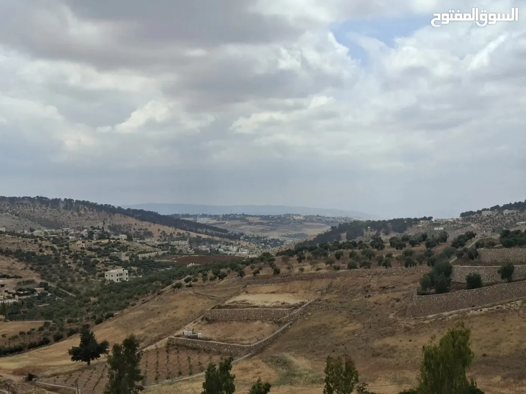 أرض زراعية مميزة للبيع في المصطبة – جرش