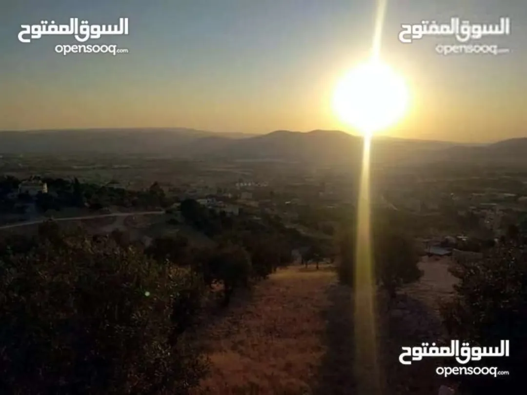 قطعة أرض مميزة في أبو نصير بمساحة 350 متر