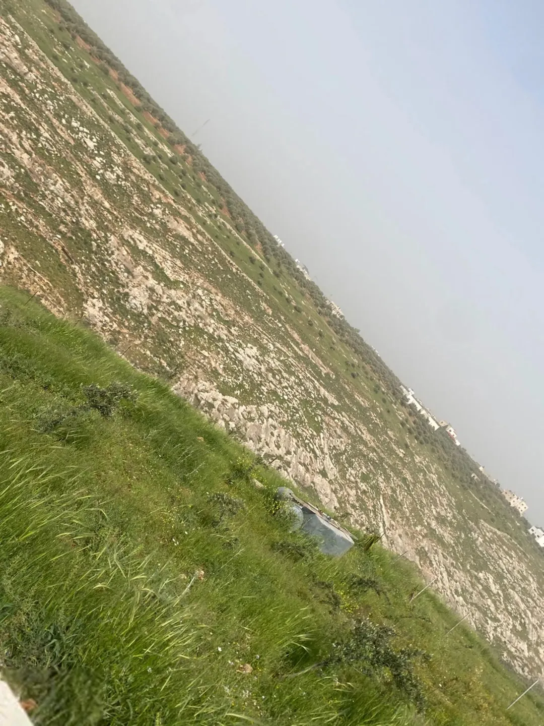 قطعه أرض للبيع بسعر منخفض