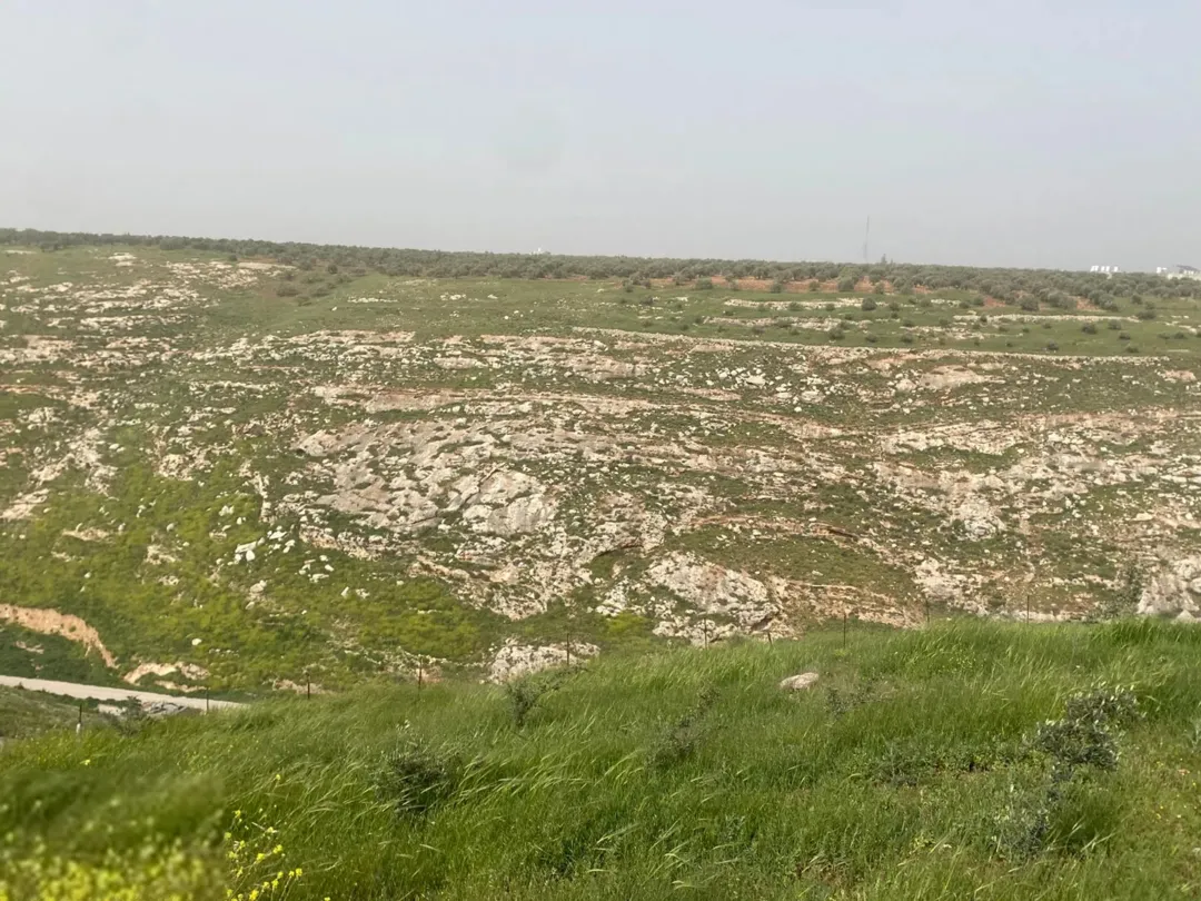 قطعه أرض للبيع بسعر منخفض