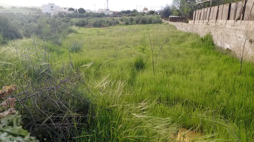 أرض سكنية مميزة للبيع في السلط – منطقة الزعتري