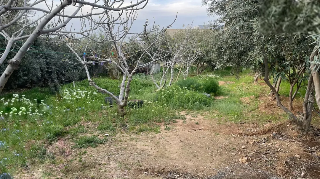 بيتين وأرض واسعة للبيع في منشية بني حسن – المفرق