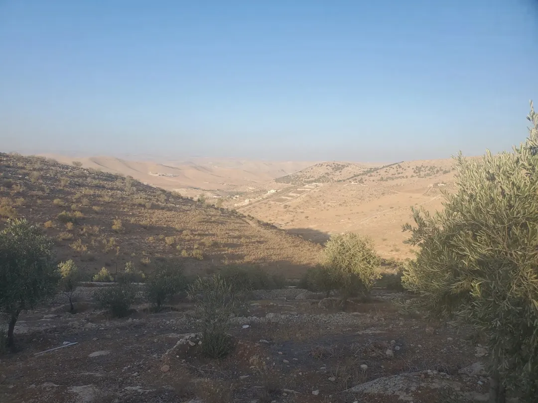 قطع أراضي استثمارية فريدة مطلة على وادي جرن بالقرب من شفا بدران مزروعة بكروم زيتون مثمرة وتطل على منظر خلاب