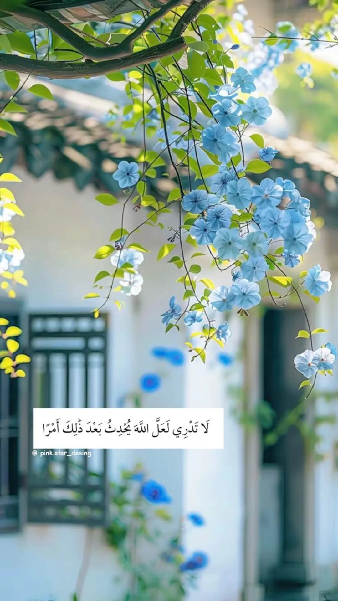 منزل للبيع في المستندة – عمان 3 طوابق ومساحة أرض واسعة