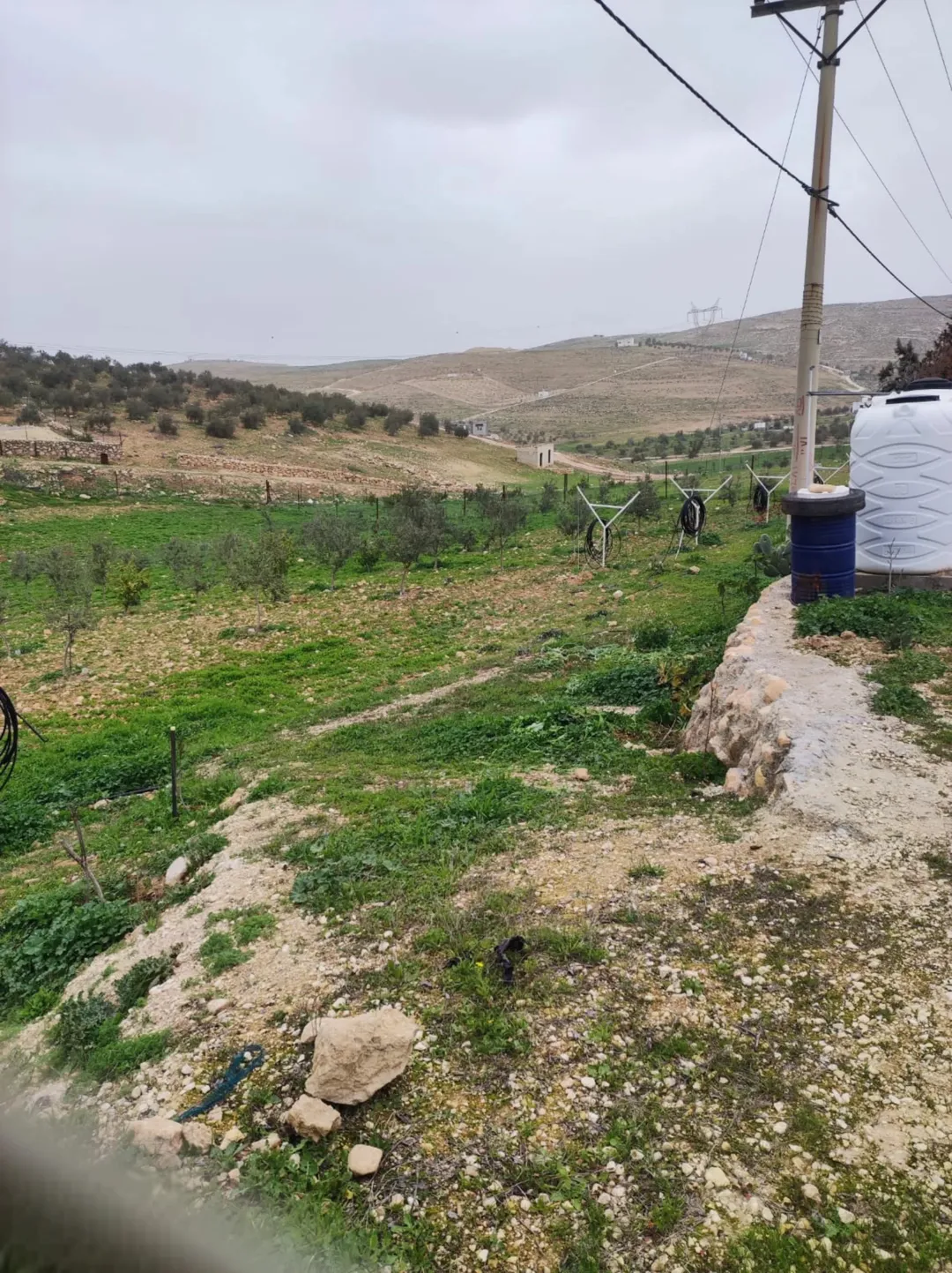 مزرعة زراعية مميزة للبيع في بلعما، المفرق