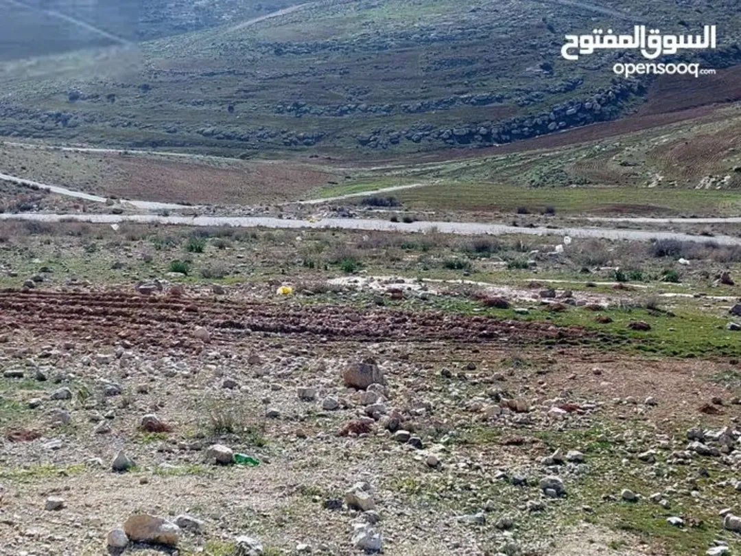 قطعة أرض فاخرة في شفا بدران زنات ربوع
