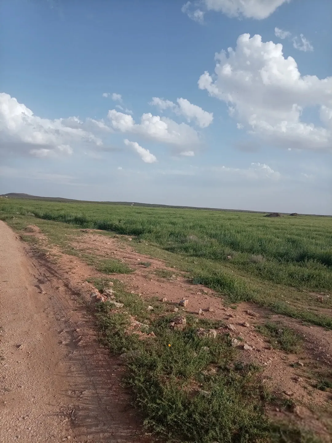 قطعة أرض واسعة في الأشرفية المفرق – حوض سميحة الغربي 10 دنمات