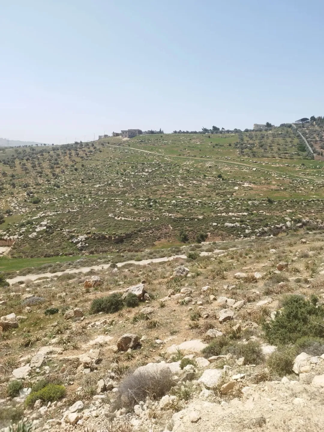 أرض سكنية مميزة للبيع في أم رمانة – الزرقاء