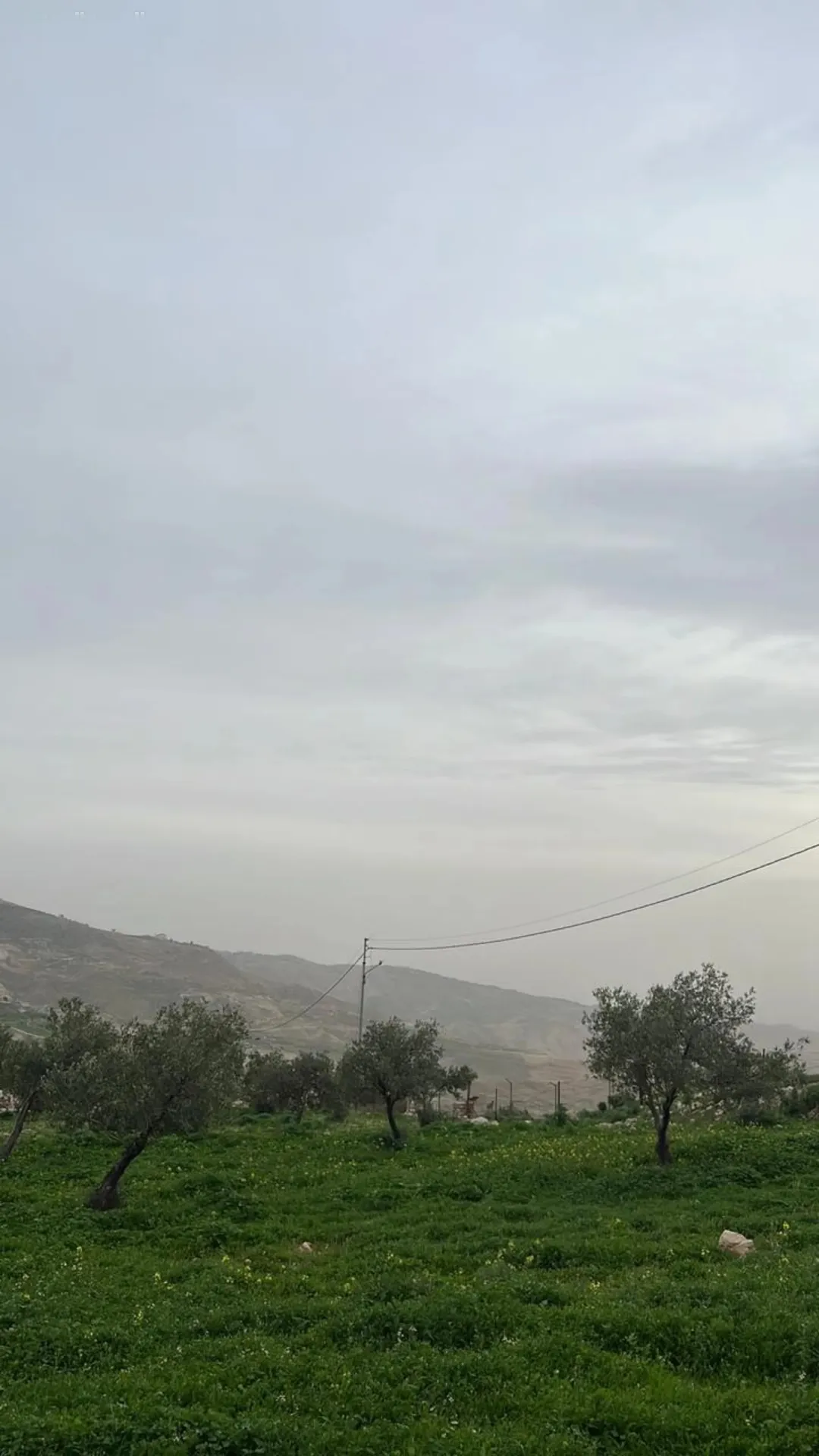ارض للبيع في السلط