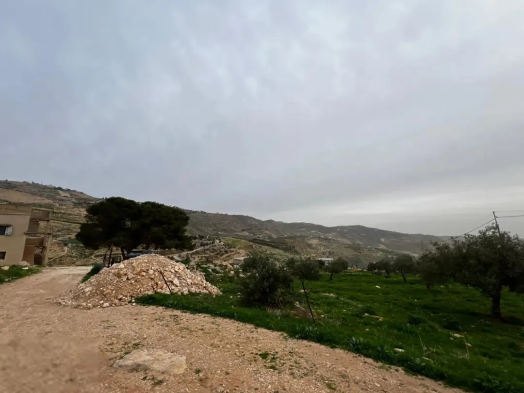 ارض للبيع في السلط