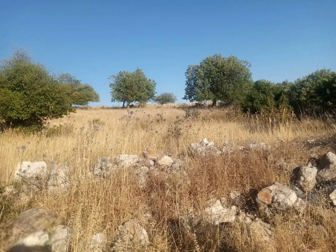 قطعة أرض للبيع