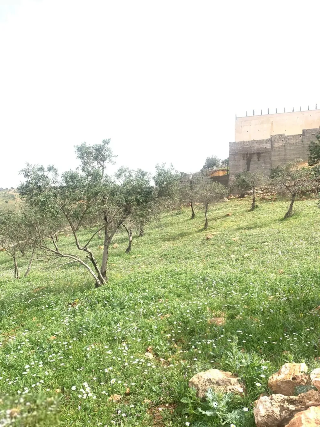 ارض للبيع بسعر مغري