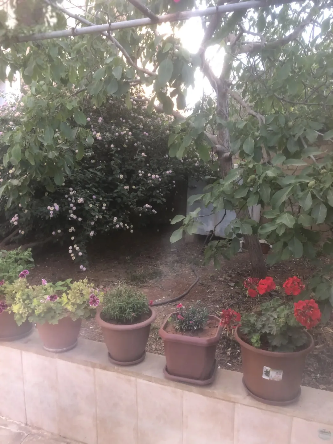 منزل للبيع في إربد – النعيمة