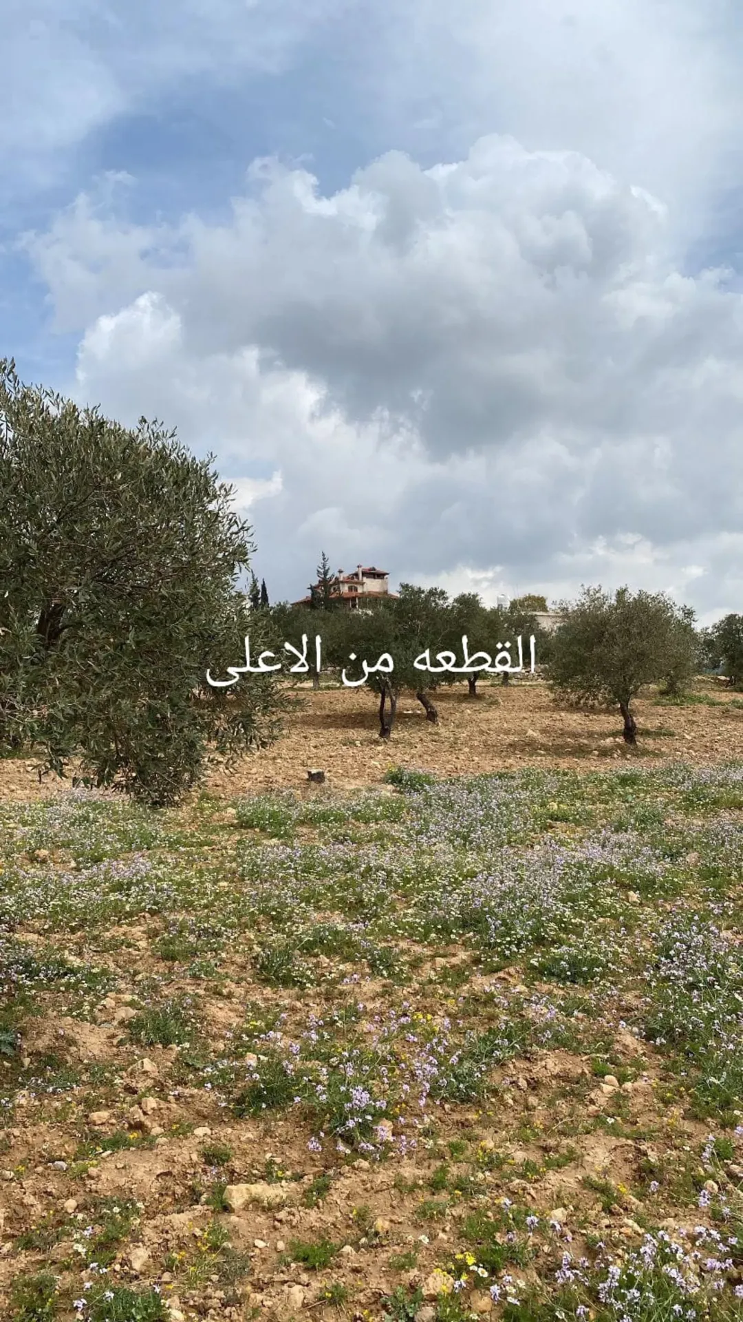 ارض مميزة مجاوره لشاليهات ذو اطلالة فريدة وعالية – جرش
