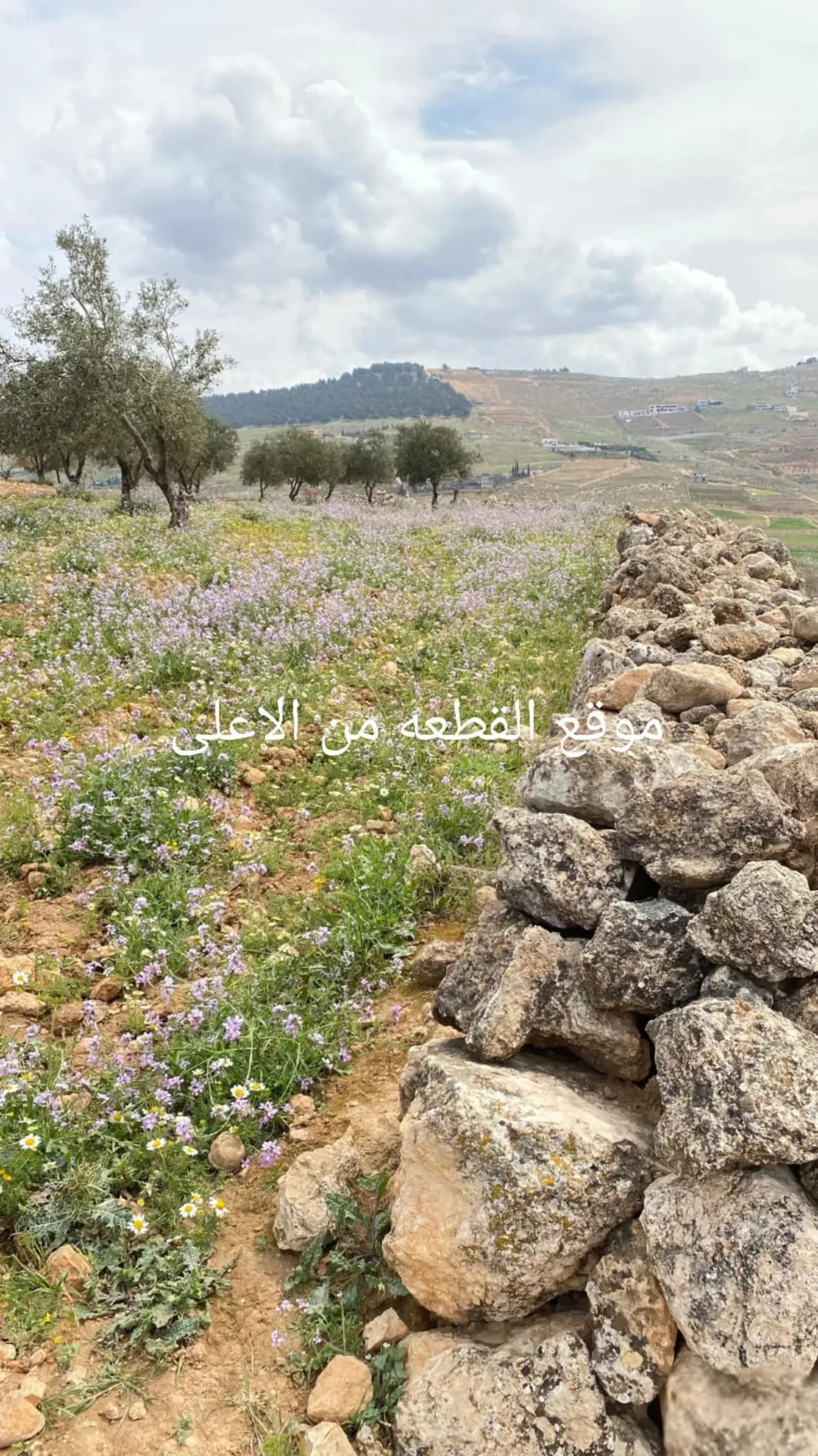 ارض مميزة مجاوره لشاليهات ذو اطلالة فريدة وعالية – جرش