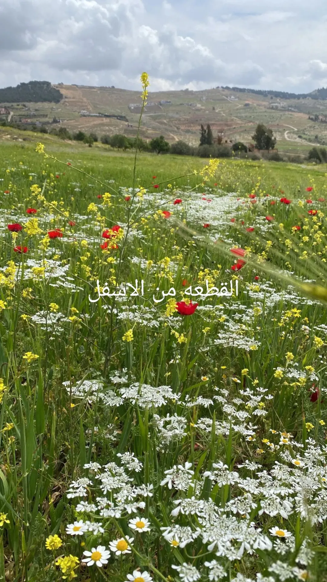 ارض مميزة مجاوره لشاليهات ذو اطلالة فريدة وعالية – جرش