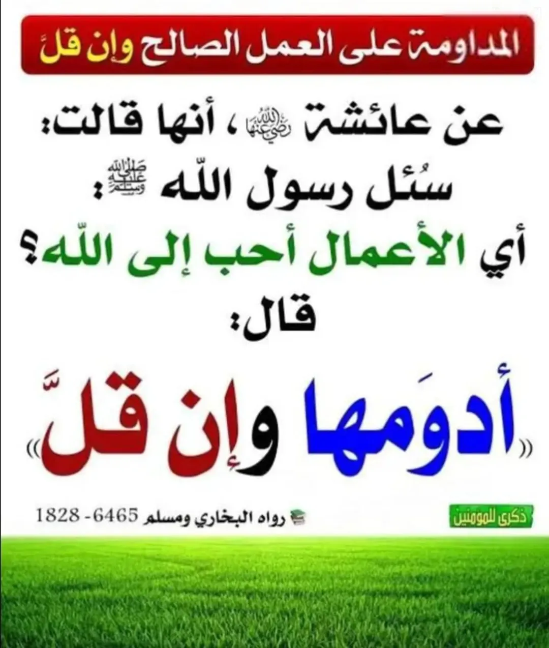 مجمع تجاري استثماري في غرب عمان بعوائد مجزية